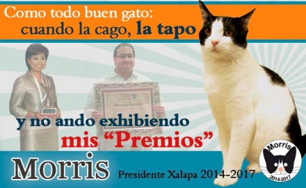 Gato morris