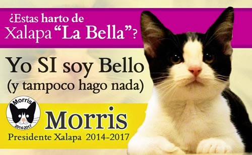 morris