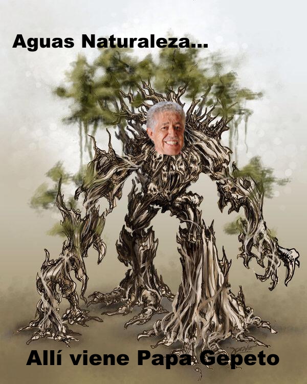 Tomas Ríos, alcalde de Córdoba mando a tumbar arboles para beneficiar los negocios de su familia.