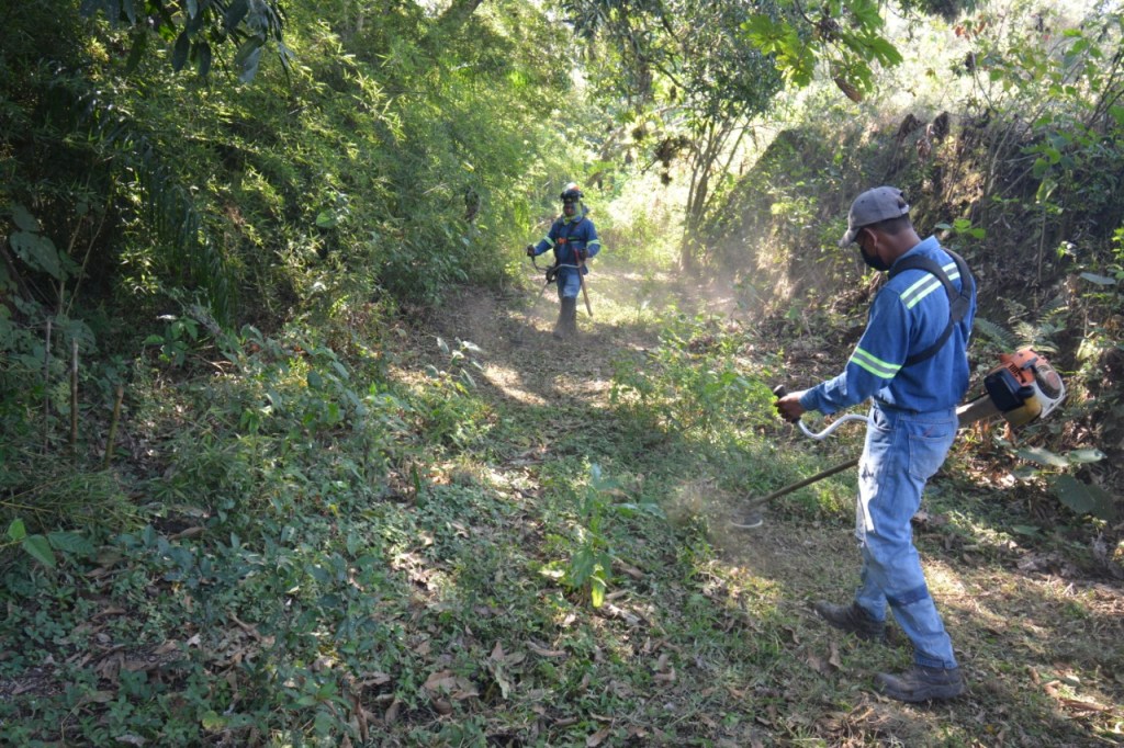 Inicia Ayuntamiento limpieza de zona Arqueológica de&nbsp;Toxpan