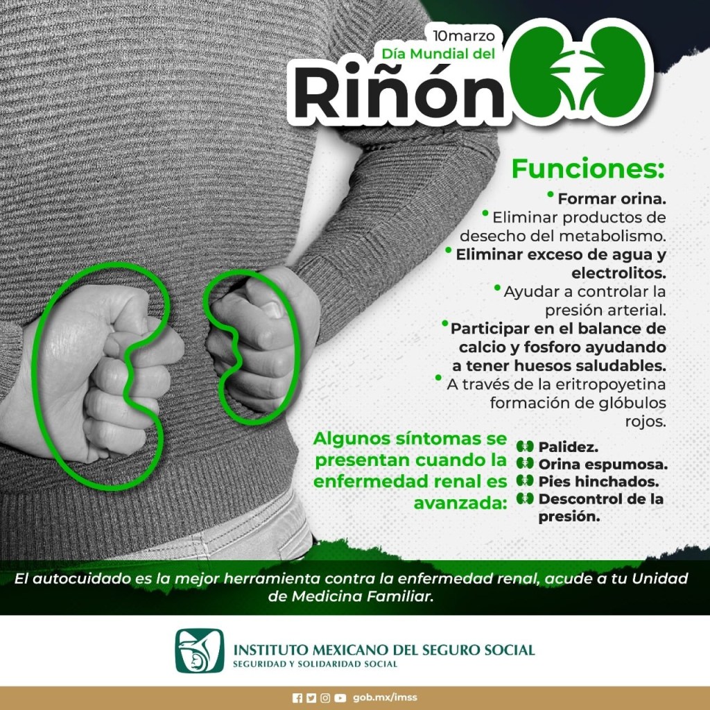 Ofrece IMSS Veracruz Sur reglas para cuidar el&nbsp;riñón