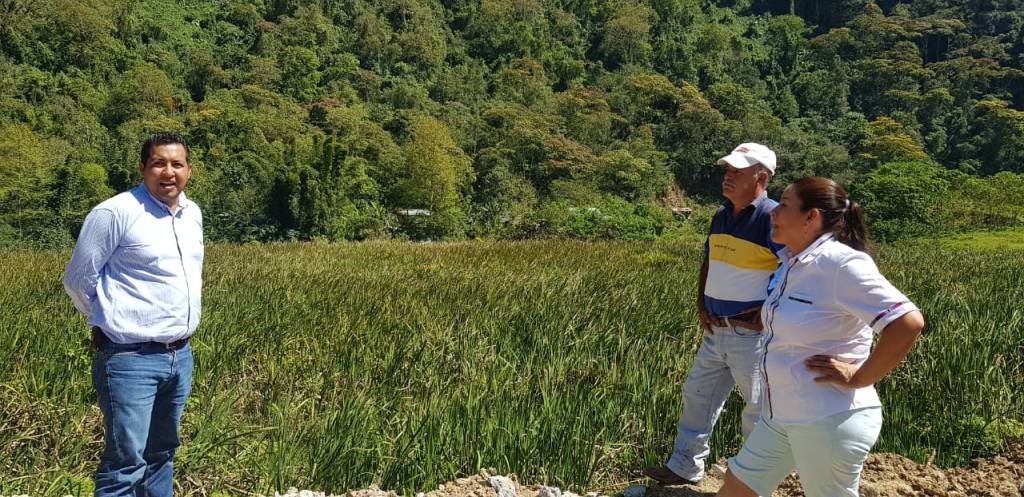 Primordial, que autoridades y ciudadanos se involucren en soluciones y cuidados ambientales: Mezhua&nbsp;Campos