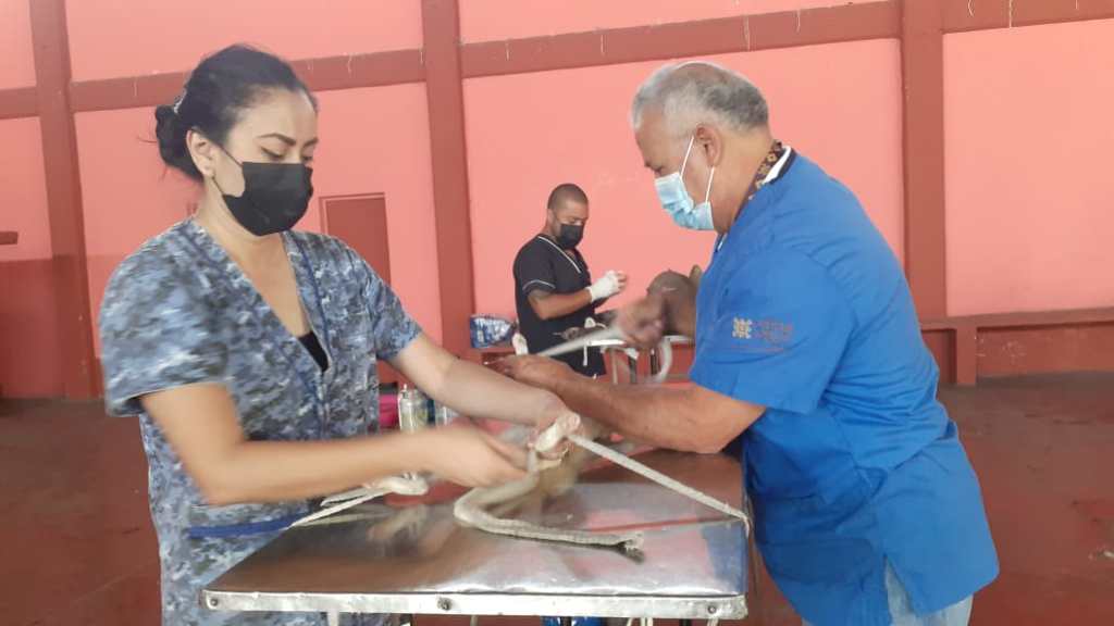 Esterilizan en Monte Blanco a 37 animales de&nbsp;compañía