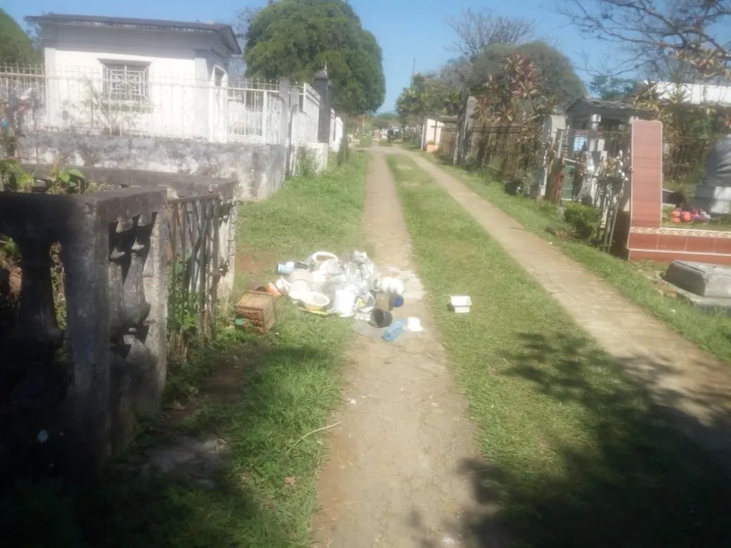 Retiran mil criaderos del mosco transmisor de dengue del panteón&nbsp;municipal