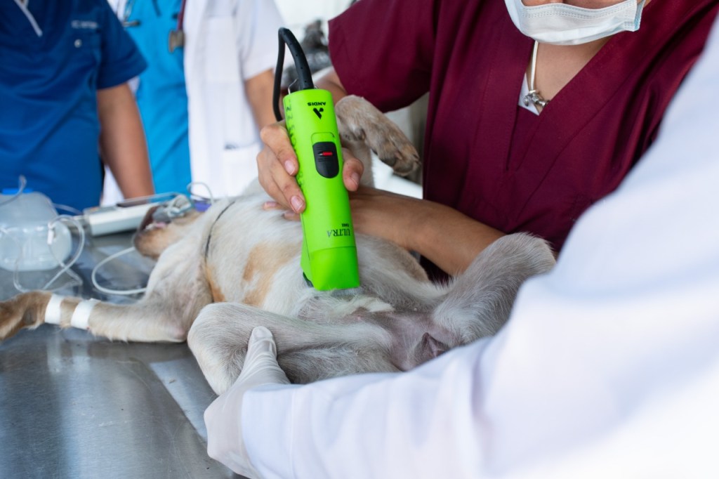 Llega «Jueves de Renacimiento” a vecinos de La&nbsp;Esmeralda