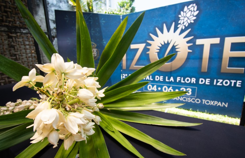 Abierta convocatoria del 2º Festival de la Flor de Izote hasta el domingo 28 de&nbsp;mayo