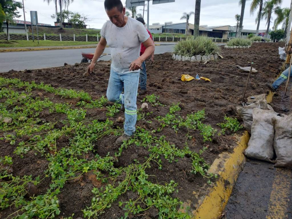 Sembrará Ayuntamiento de Córdoba 6 mil plantas en áreas&nbsp;verdes