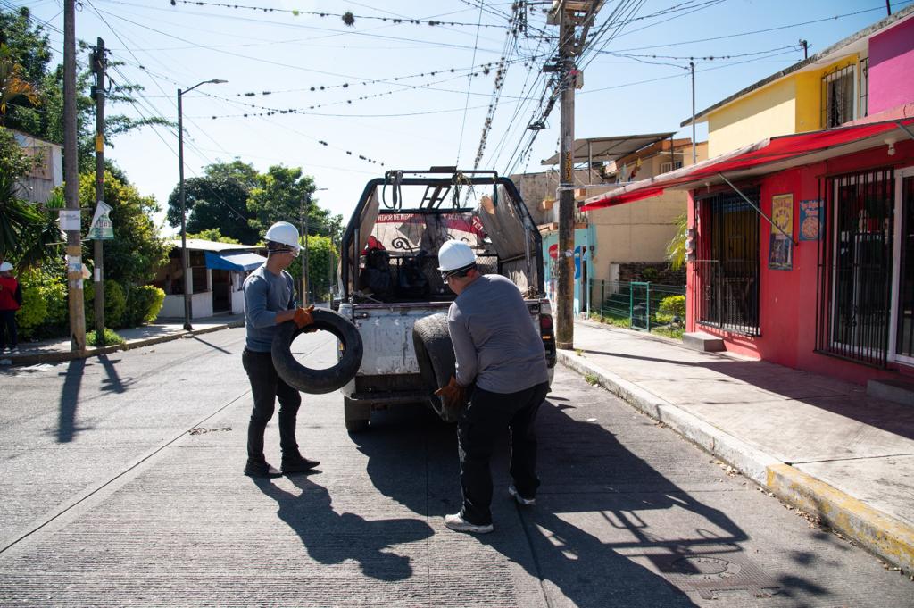 Eliminará Ayuntamiento criaderos del mosquito transmisor del dengue en 42 colonias&nbsp;más