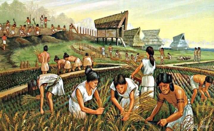 ¿Porqué la gente dice “Ya nos cayó el&nbsp;chahuistle”?