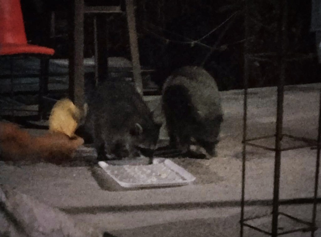 Atienden a población rural por efectos de las altas temperaturas y prevenir el&nbsp;dengue