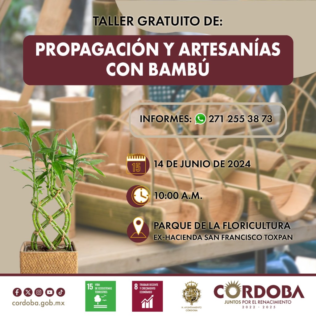 Inicia taller para el aprovechamiento en artesanías y propagación del bambú en&nbsp;Córdoba