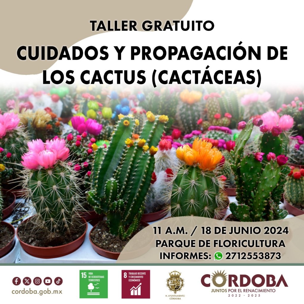 Llaman a comerciantes y agricultores a participar en el taller de reproducción de&nbsp;cactáceas