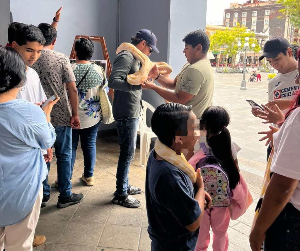Concluyó el Tercer Festival Mexicano de las&nbsp;Serpientes