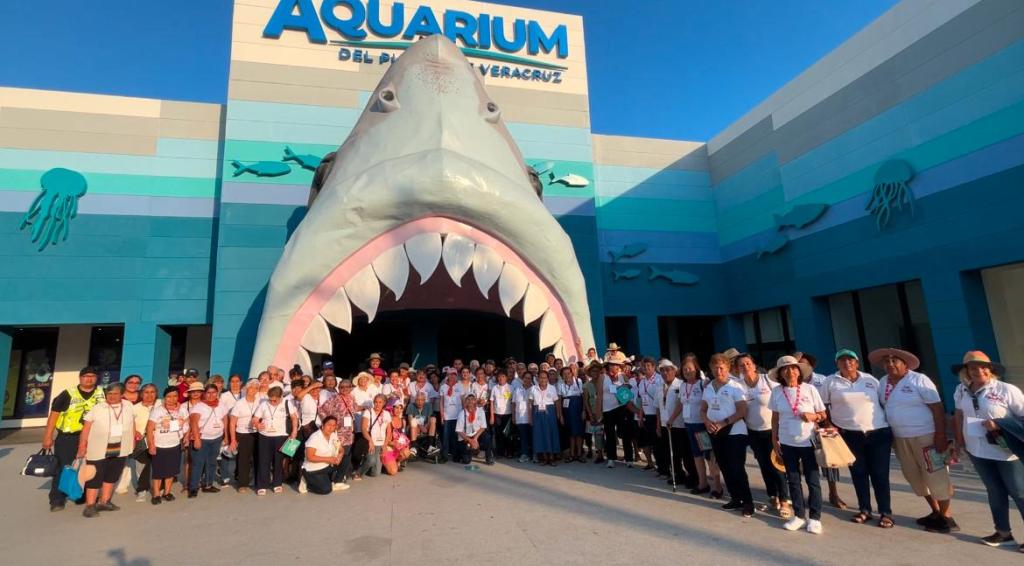 Visitan Adultos Mayores Acuario de&nbsp;Veracruz