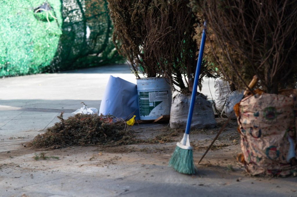 Córdoba respalda campaña de reciclaje de arbolitos de&nbsp;Navidad